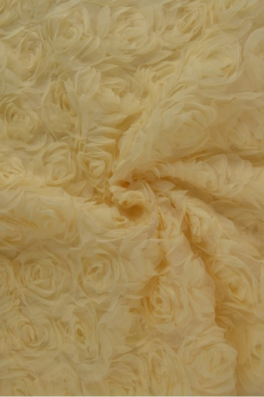 Gräddfärgad broderad mesh med rosor (bild 1 av 2)
