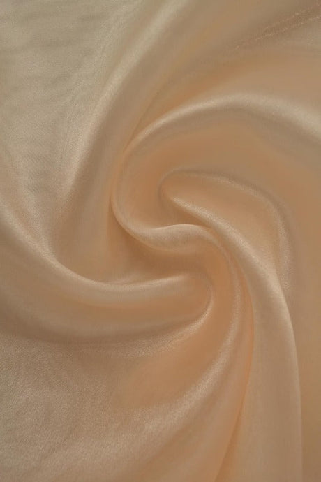 Champagnefärgad organza – transparent & glänsande (bild 1 av 7)