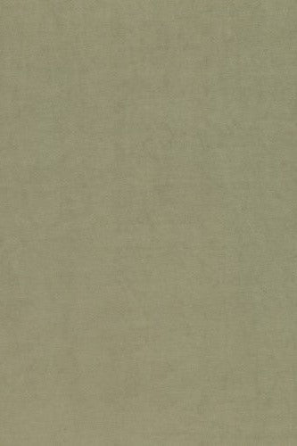 Dammig olivgrön slitstark möbelvelour (bild 2 av 6)