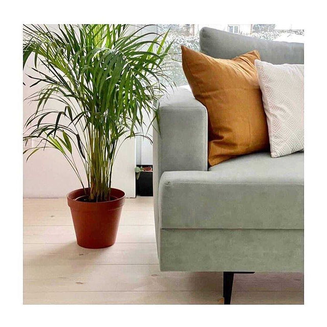 Mörk petrolblå Uttario velvet möbelvelour – slitstark & petproof (bild 4 av 4)